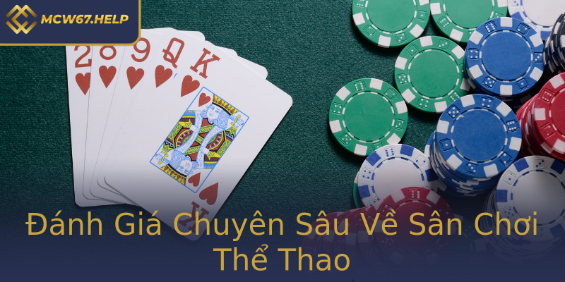 Đánh Giá Chuyên Sâu Về Sân Chơi Thể Thao Đánh Giá Chuyên Sâu Về Sân Chơi Thể Thao