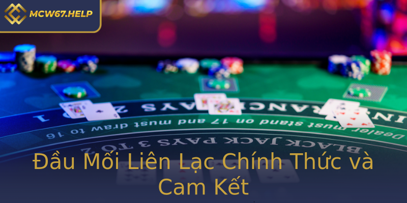 Đầu Mối Liên Lạc Chính Thức và Cam Kết Đầu Mối Liên Lạc Chính Thức và Cam Kết