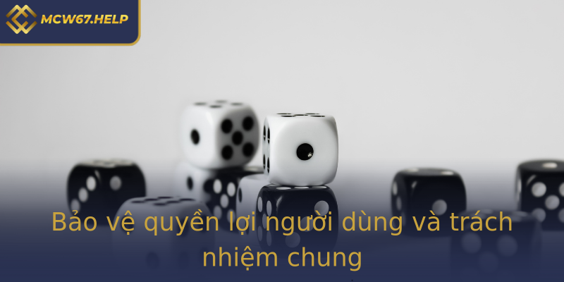 Bảo vệ quyền lợi người dùng và trách nhiệm chung Bảo vệ quyền lợi người dùng và trách nhiệm chung