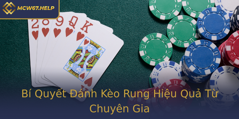 Bí Quyết Đánh Kèo Rung Hiệu Quả Từ Chuyên Gia Bí Quyết Đánh Kèo Rung Hiệu Quả Từ Chuyên Gia