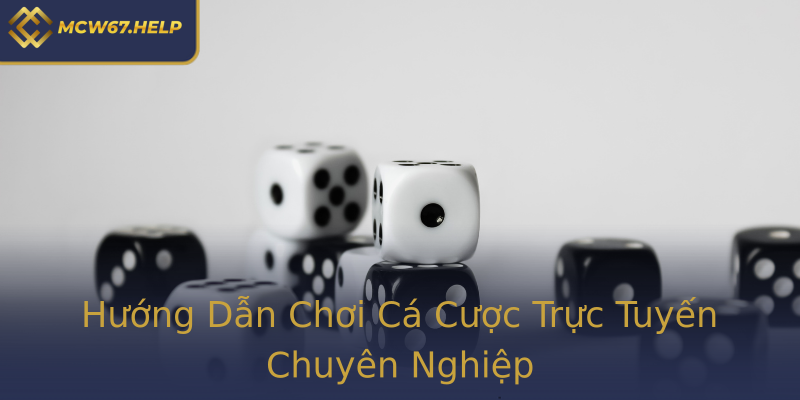 Hướng Dẫn Chơi Cá Cược Trực Tuyến Chuyên Nghiệp Hướng Dẫn Chơi Cá Cược Trực Tuyến Chuyên Nghiệp