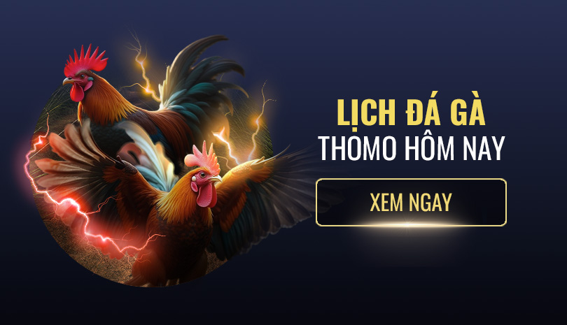 MCW67 - Nhà Cái Uy Tín Với Trò Chơi Đa Dạng và Khuyến Mãi 13 Image 264281
